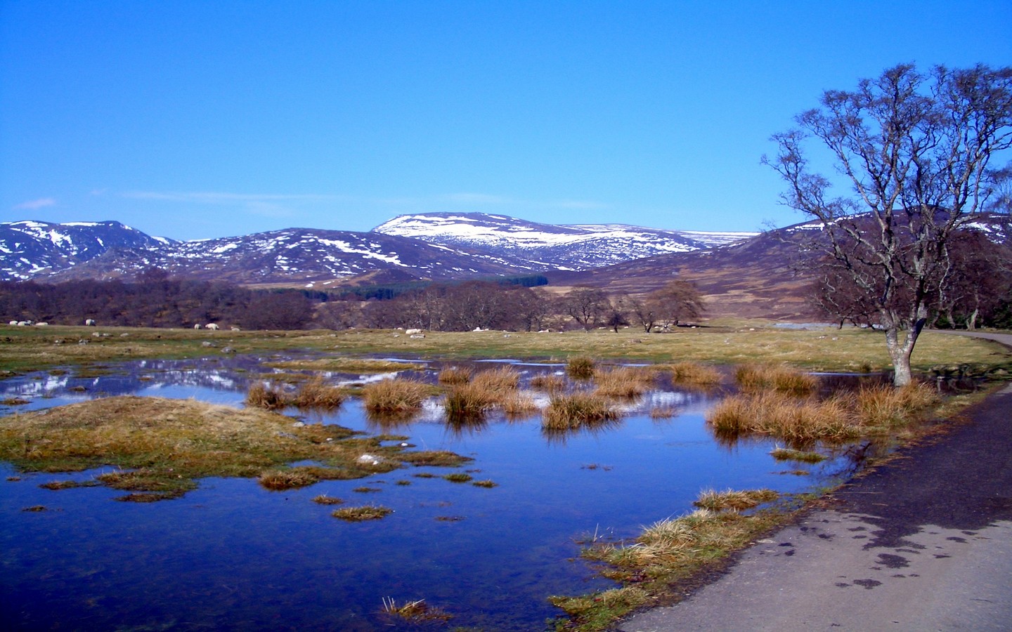 View from Newtonmore Glen
